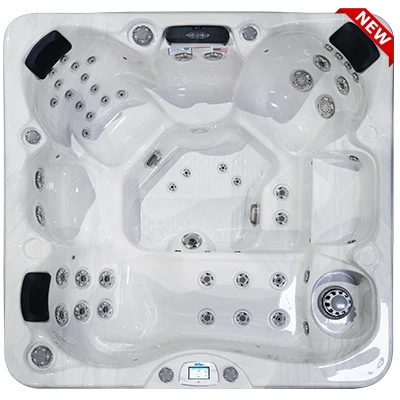 Avalon-X EC-849LX hot tubs for sale in Rosario